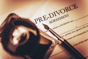 Pre Divorce Agreement